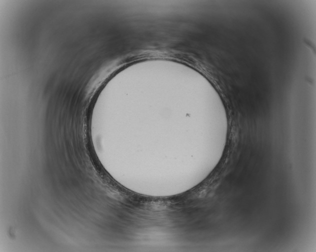 X0000100410103200806271453