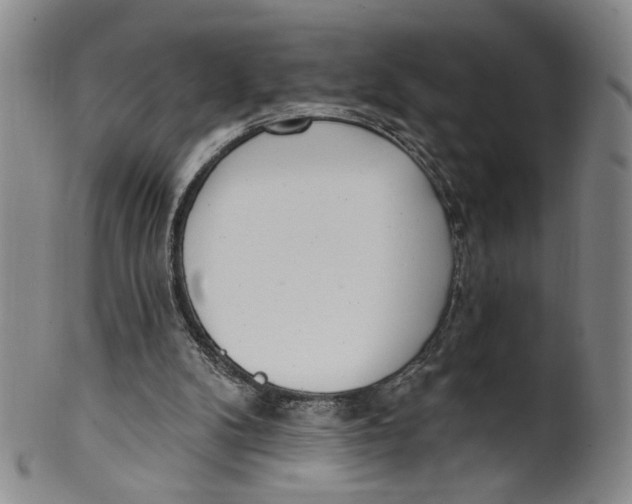 X0000100410104200806271453