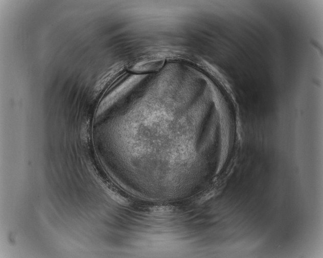 X0000100410105200806271453