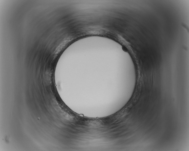 X0000100410106200806271453