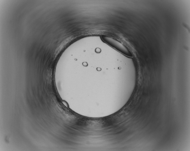 X0000100410107200806271453