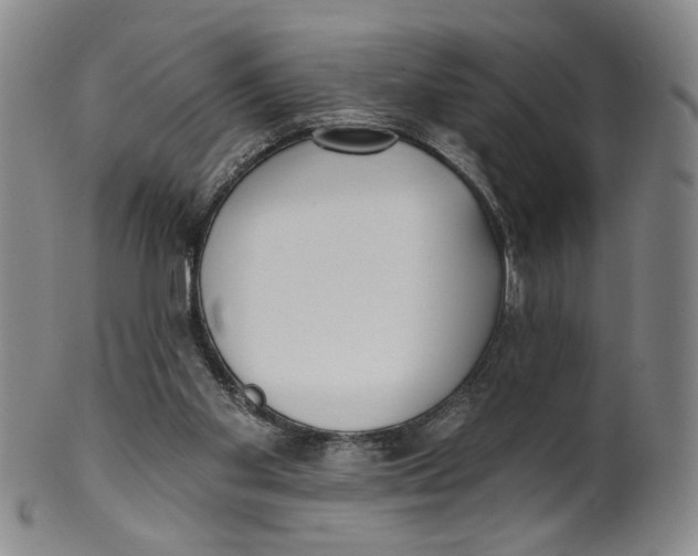 X0000100410109200806271453