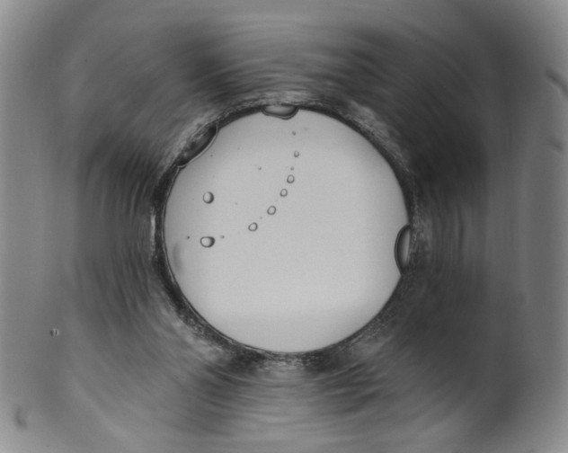 X0000100410110200806271453