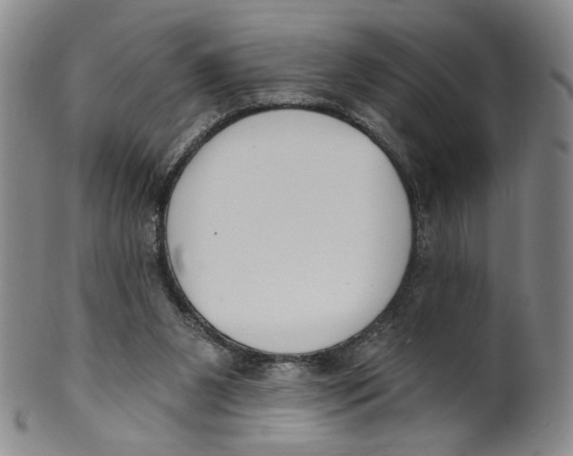 X0000100410111200806271453