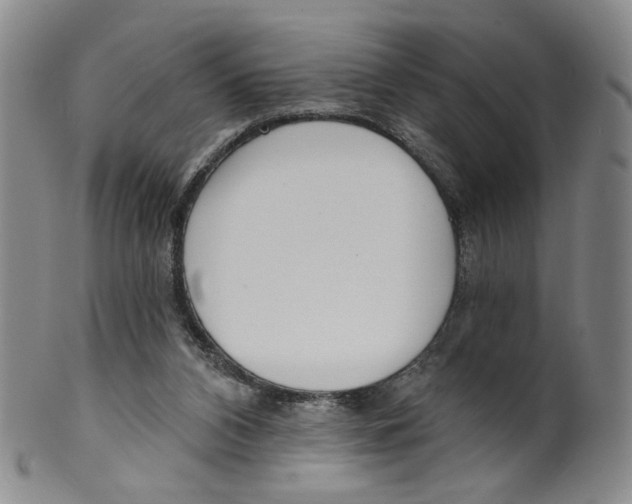 X0000100410112200806271453