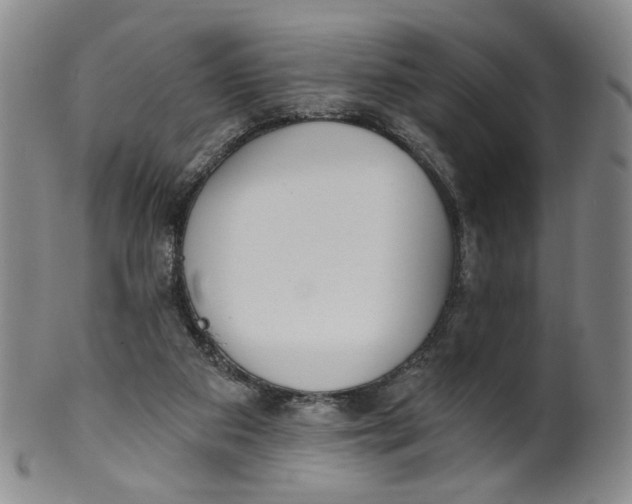 X0000100410113200806271453