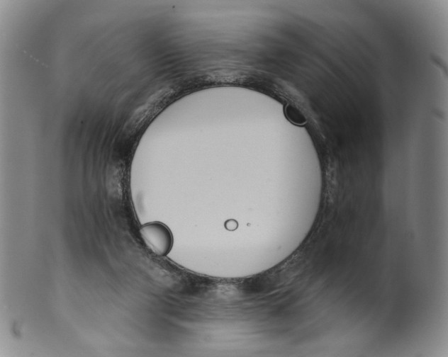 X0000100410114200806271453