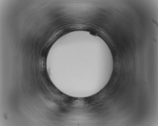 X0000100410119200806271453