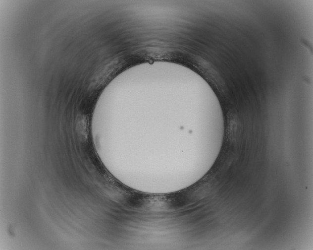 X0000100410121200806271452