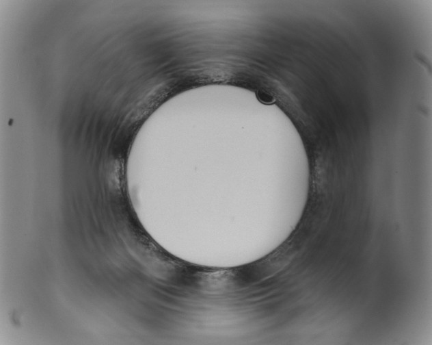 X0000100410122200806271452