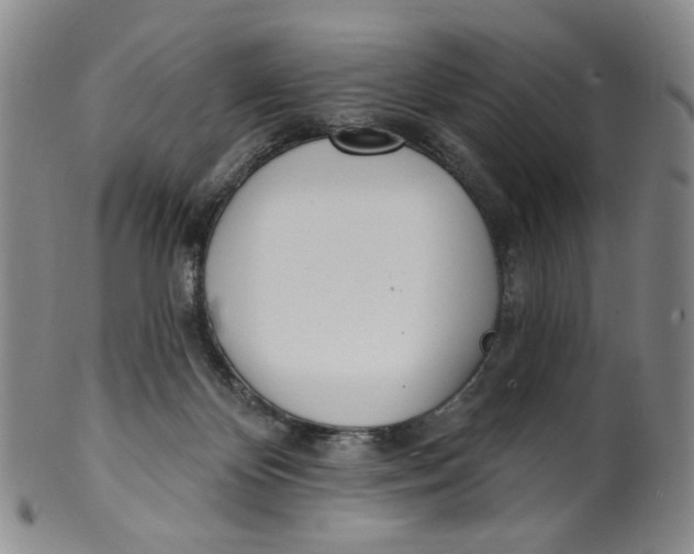 X0000100410124200806271452