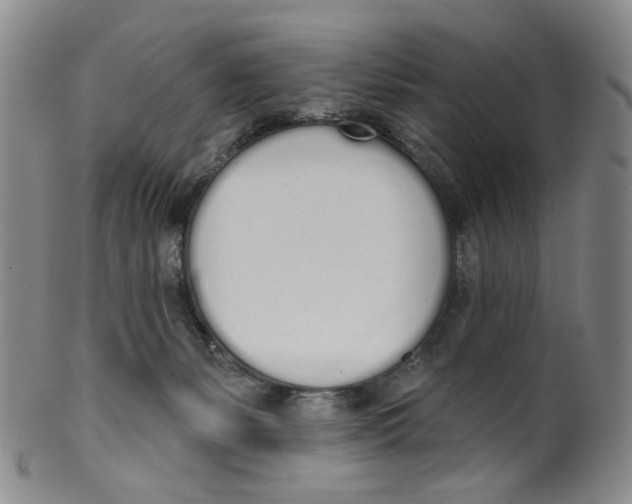 X0000100410127200806271452