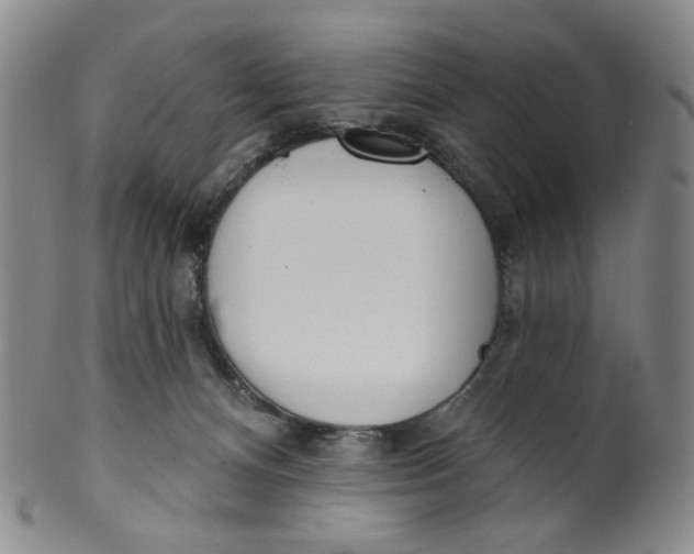 X0000100410128200806271452