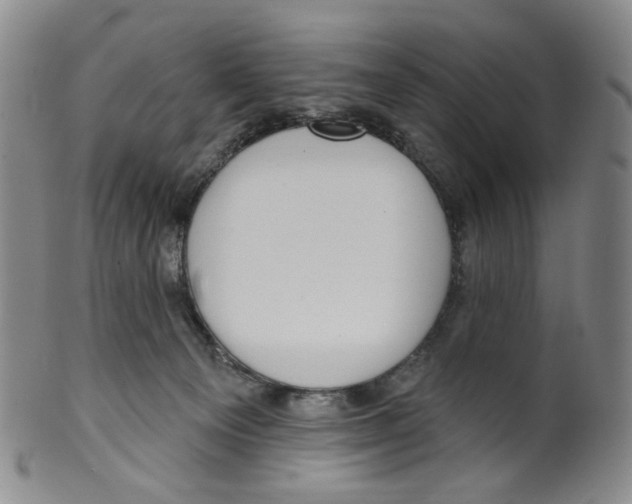 X0000100410129200806271452