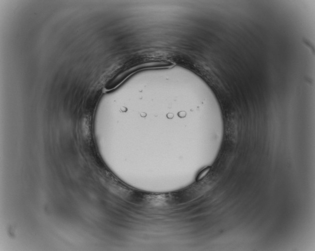 X0000100410131200806271452