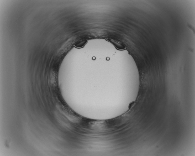 X0000100410132200806271452