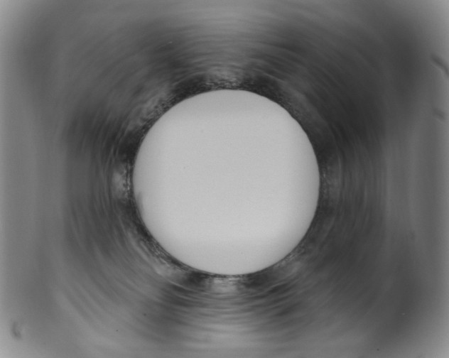 X0000100410134200806271452