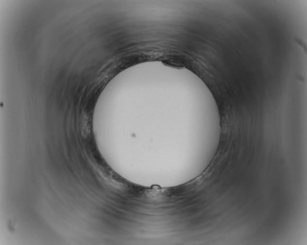 X0000100410136200806271452