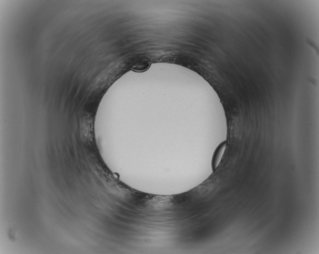 X0000100410138200806271452