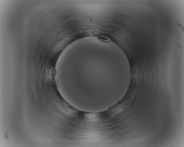 X0000100410139200806271452