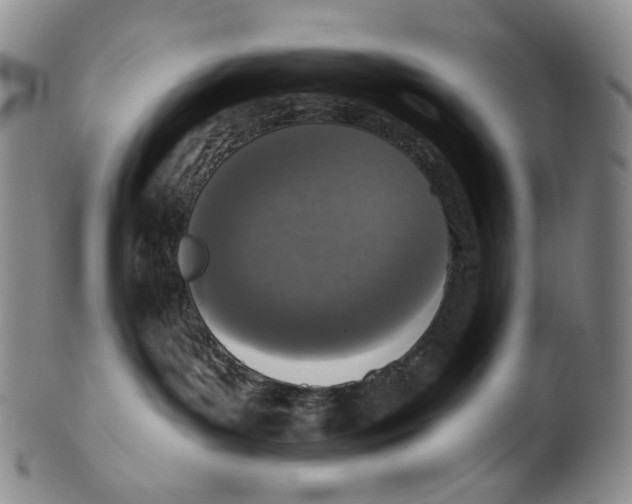 X0000100410143200806271452