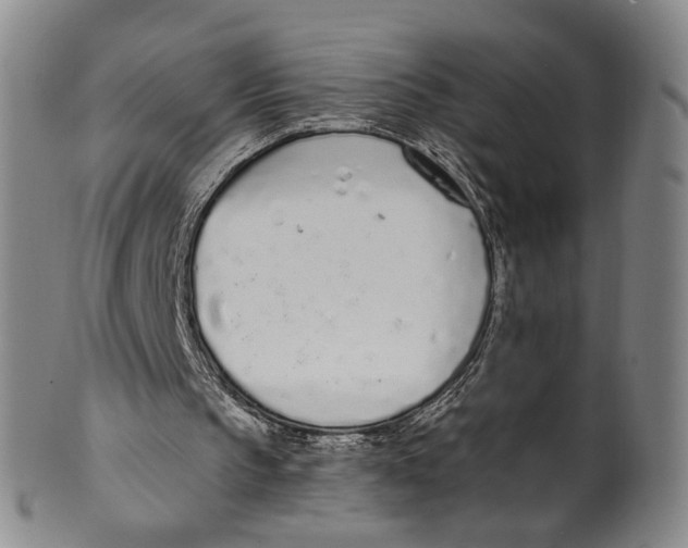 X0000100410145200806271451