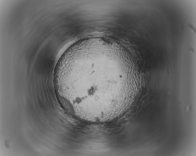 X0000100410147200806271452