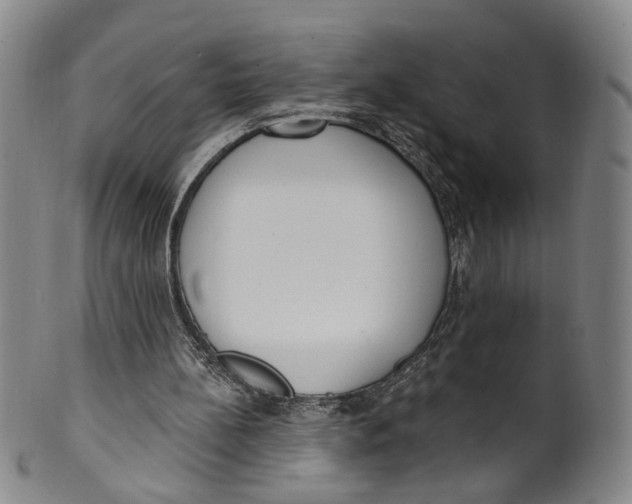 X0000100410148200806271452