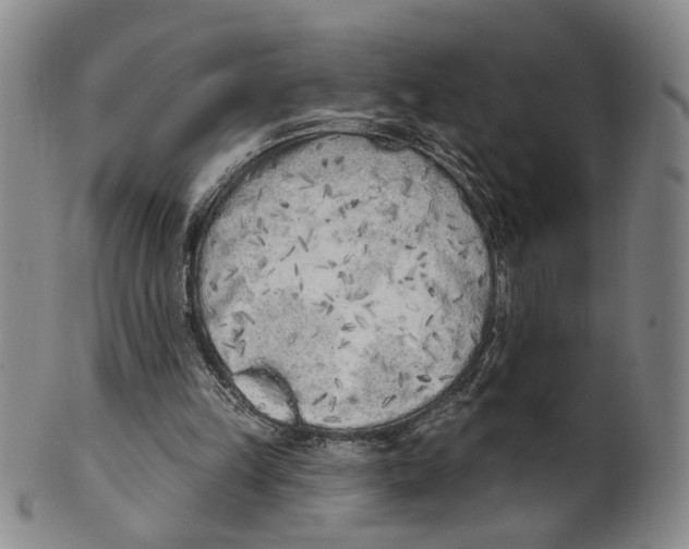 X0000100410149200806271452