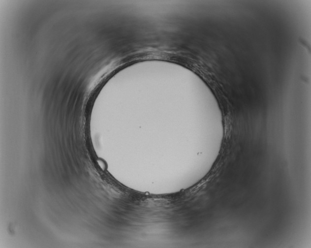 X0000100410150200806271452