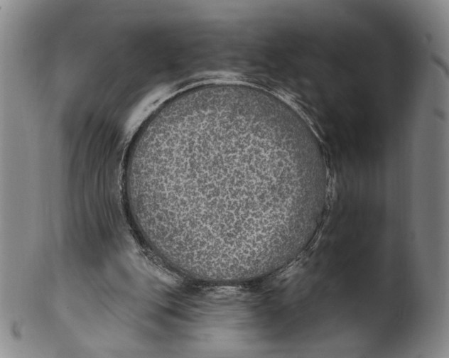 X0000100410151200806271452