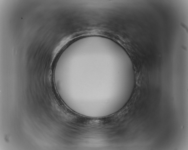 X0000100410152200806271452