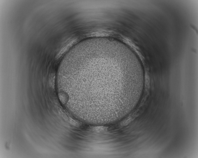 X0000100410153200806271452