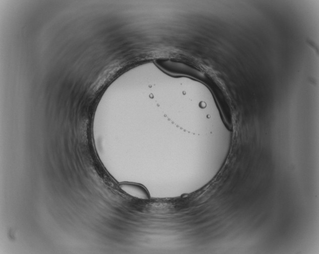 X0000100410154200806271452