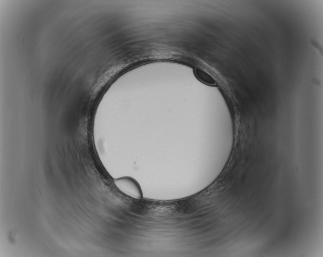 X0000100410155200806271452