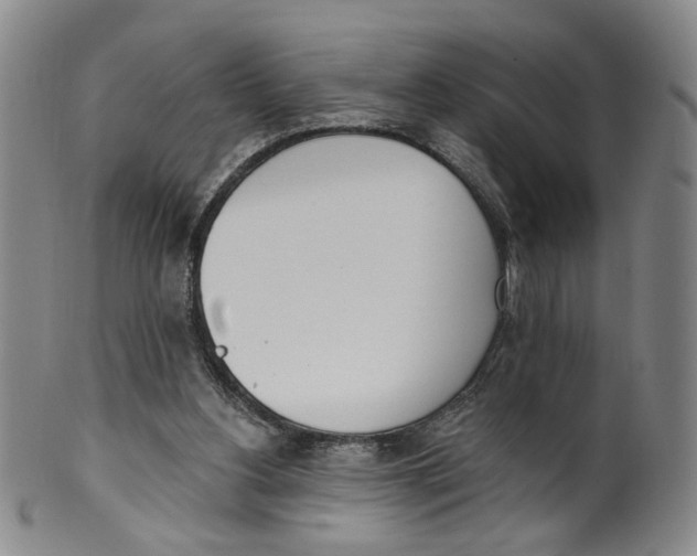 X0000100410156200806271452