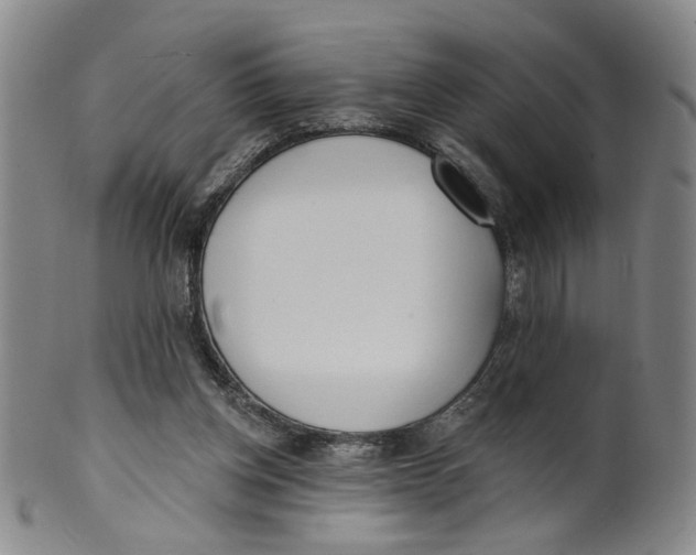 X0000100410158200806271452