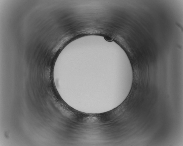 X0000100410159200806271452