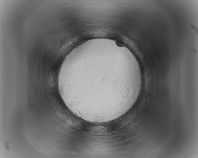 X0000100410161200806271452