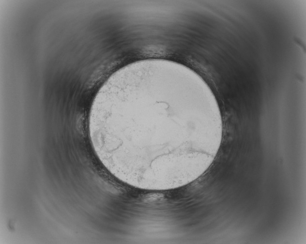 X0000100410162200806271452