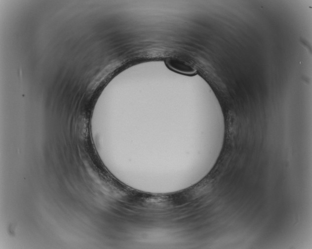 X0000100410164200806271452