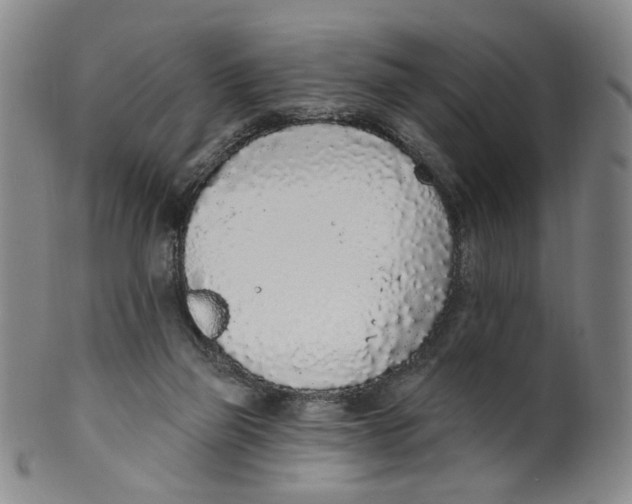 X0000100410165200806271452