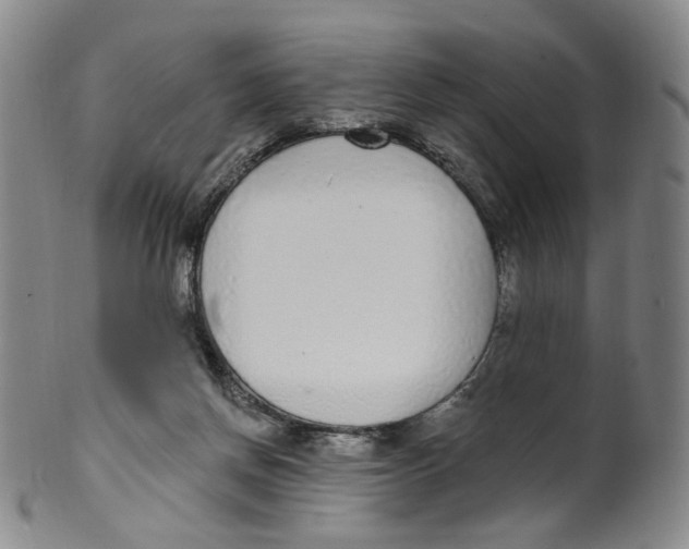 X0000100410166200806271452