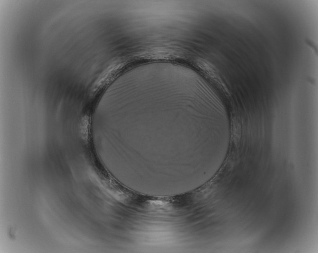 X0000100410167200806271452