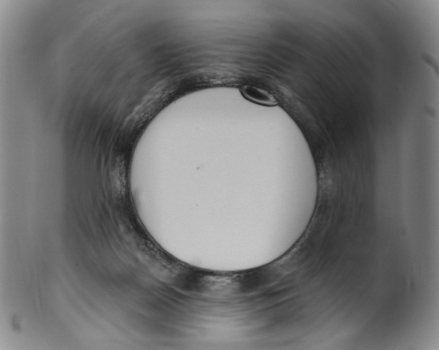 X0000100410170200806271452