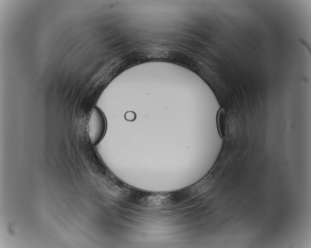 X0000100410172200806271452