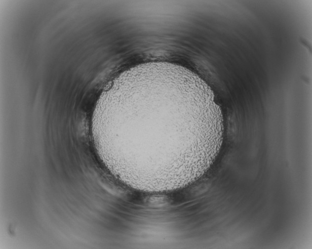 X0000100410173200806271452