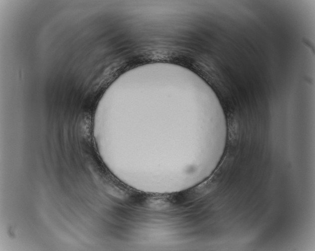 X0000100410175200806271452