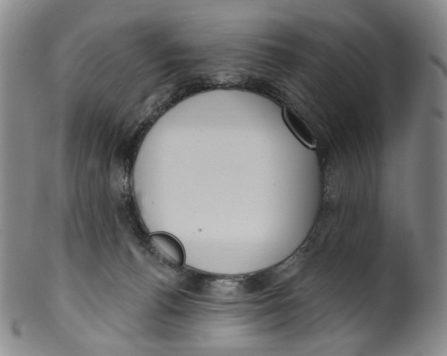 X0000100410176200806271452