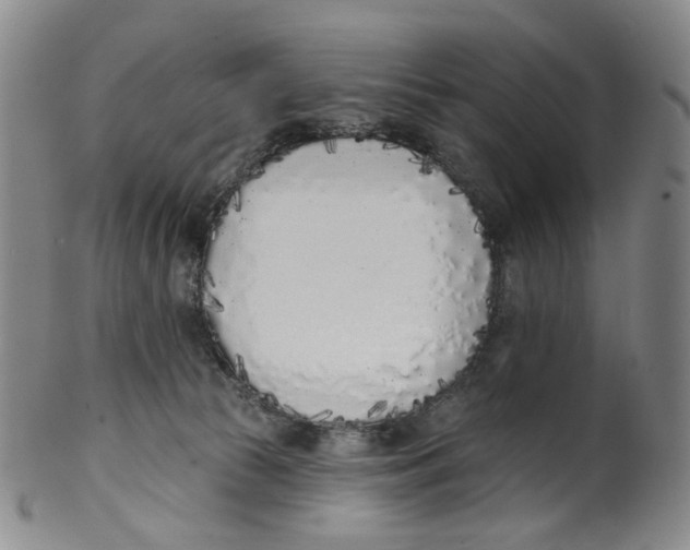 X0000100410177200806271452